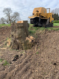 Antrobus Tree Stump Removal