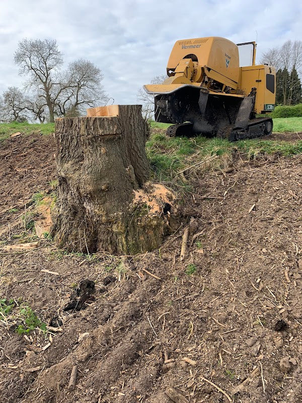 Antrobus Tree Stump Removal