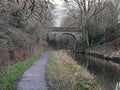 Congleton