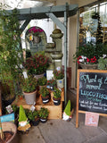 Fairways Garden Centre