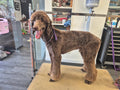Wookie Wash & Wag