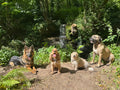 Mindful Dog North Wales