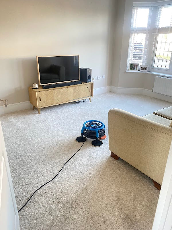 TWH Carpet Cleaning