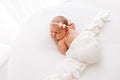 IvyBee Photography