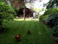 Heaton Mersey Boarding Cattery