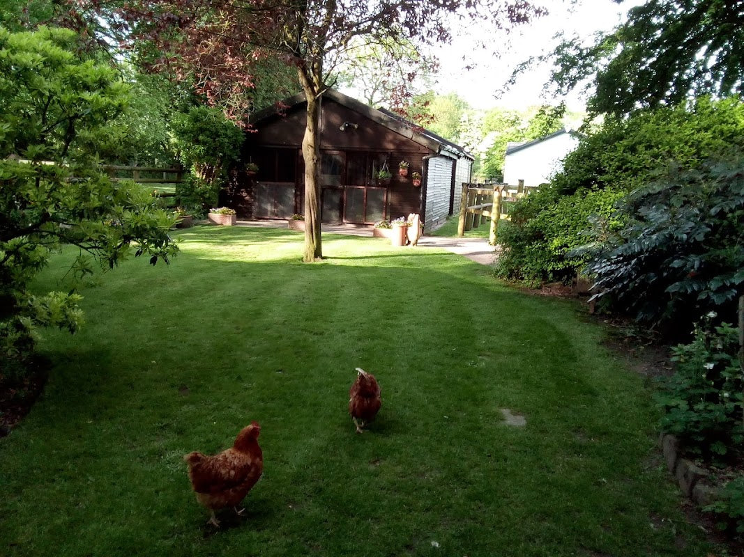 Heaton Mersey Boarding Cattery