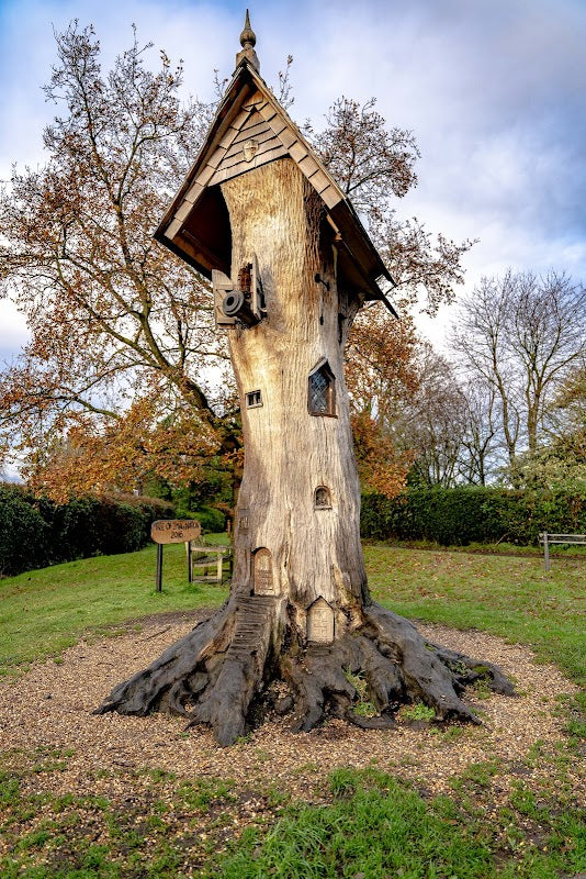 Tree Of Imagination