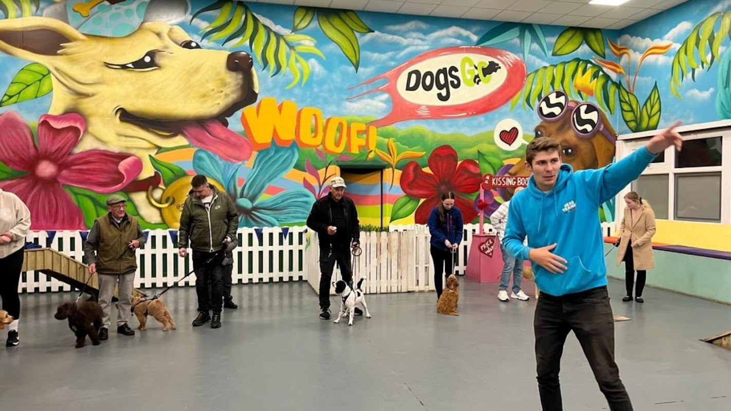 Dog Training Wirral