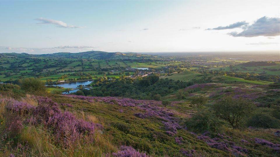 Tegg's Nose Country Park