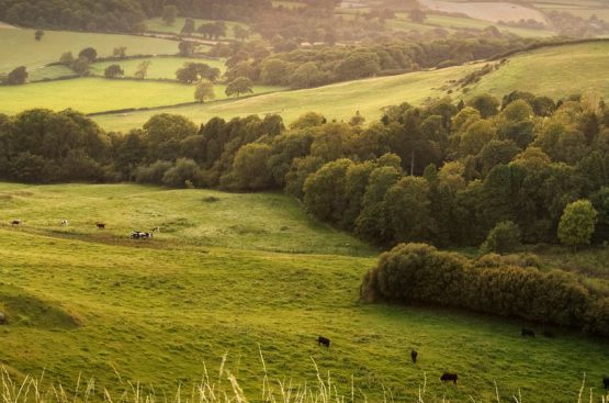 Oakwood Valuation Surveyors