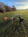 The Dog Walkers