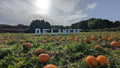 Delamere Farm Shop