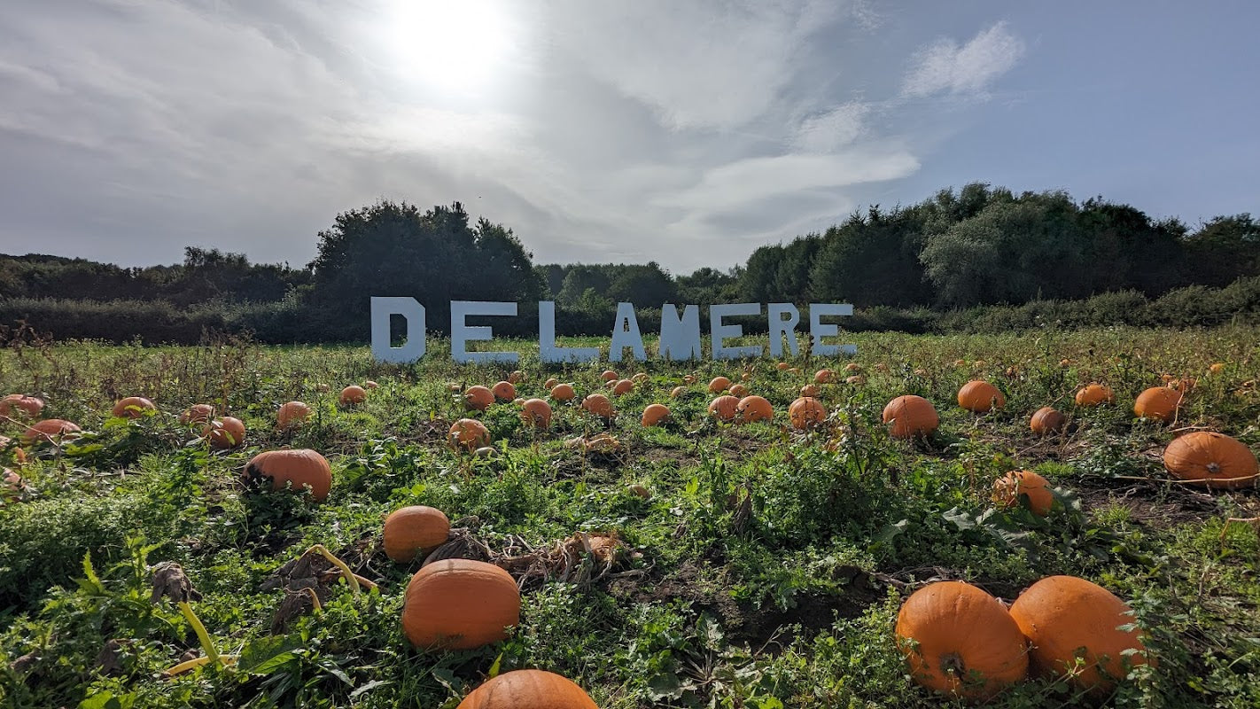 Delamere Farm Shop
