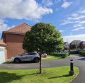 APEX Tree Care Cheshire