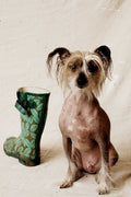 posh dogs walking services