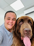 Sloans Dog Salon