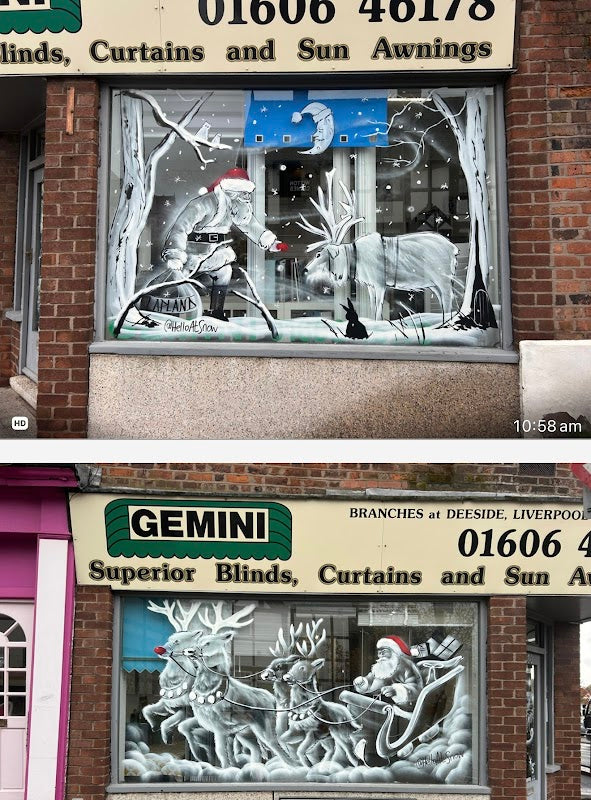 Gemini Blinds