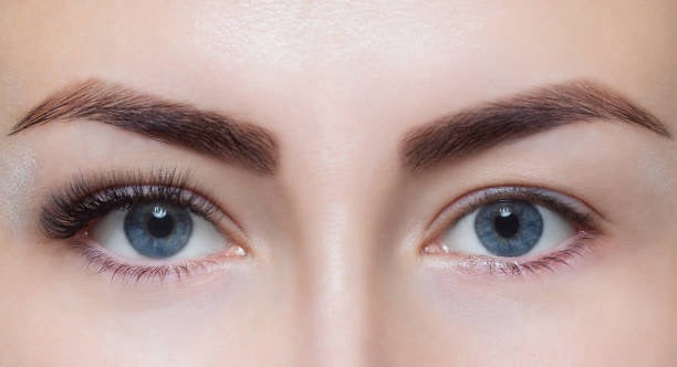 Face & Frame Beauty