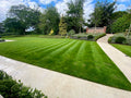 NorthHort