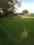 Innes lawns