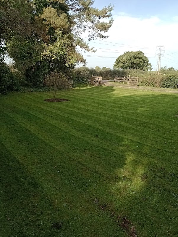 Innes lawns