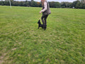 Wizz Dog Training