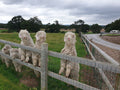 Welltrough Caravan Site