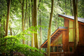 Forest Holidays