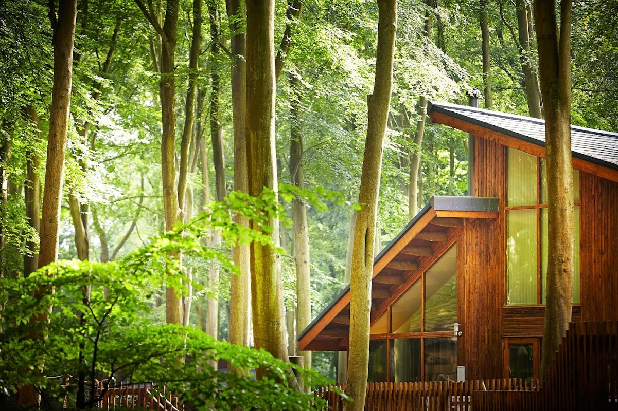 Forest Holidays
