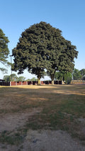 Betley Village Hall