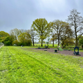 The Dogs Paddocks Middlewich
