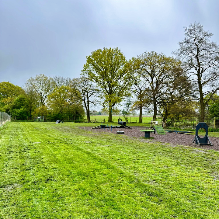 The Dogs Paddocks Middlewich
