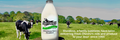 Sheldons Dairy Milk Delivery and Pet Supplies