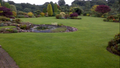 Bradley Green Tree and Garden Services / Jet Washing