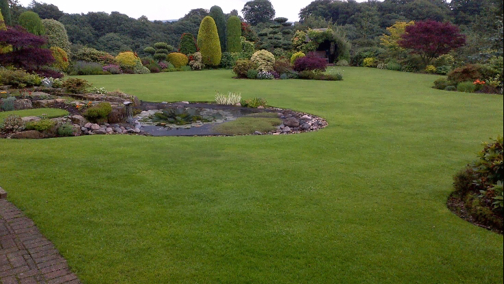 Bradley Green Tree and Garden Services / Jet Washing