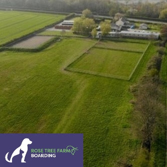 Rose Tree Farm Boarding & Hydrotherapy