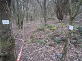 Handforth Booping Peace Maze of Wishes