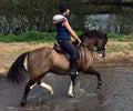 Home Farm Country Ride