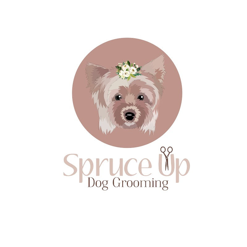 Spruce_up_dog_grooming