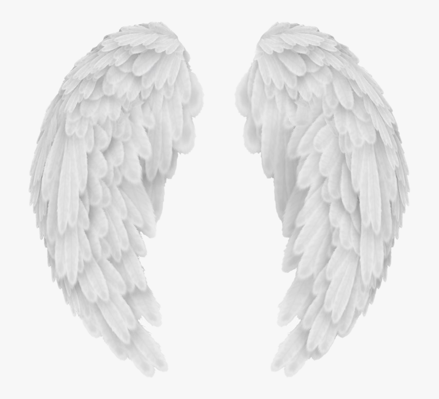 Angel Aesthetics