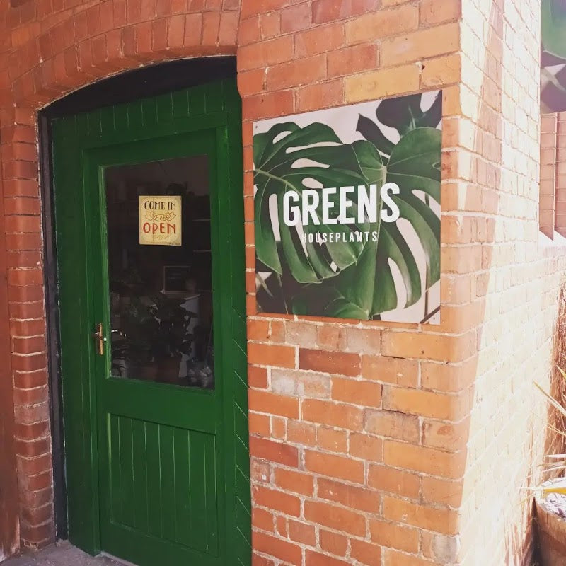 Greens Houseplants