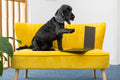 Let's Grow - Digital Growth Agency