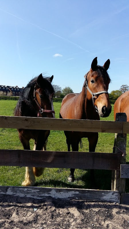 Bank Hall Farm