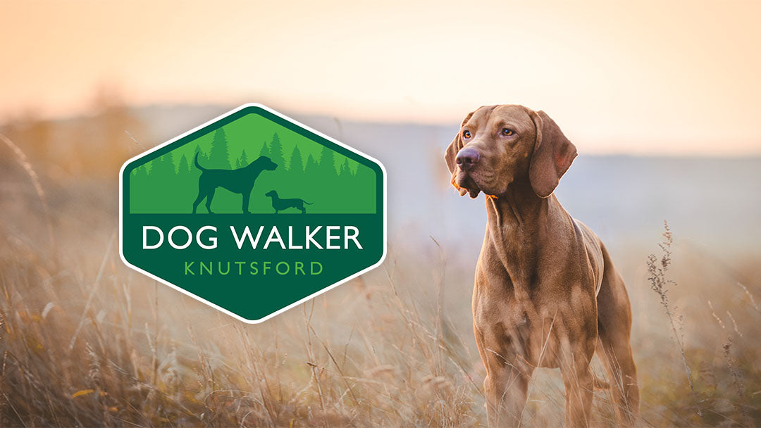 Dog Walker