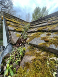 Clean Assured - Window Cleaning & Gutter Cleaning - Commercial & Domestic