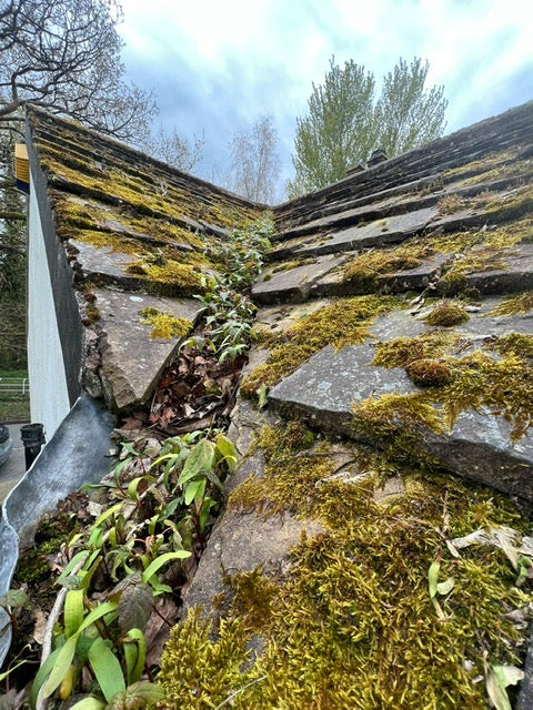 Clean Assured - Window Cleaning & Gutter Cleaning - Commercial & Domestic