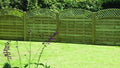 Ringwood Fencing