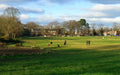 Knutsford Heath
