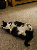 Southfields Veterinary Surgery