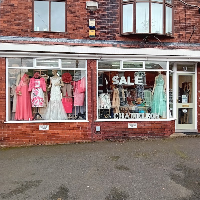 Chameleon Dress ageny/Occasionwear/Fashion Boutique